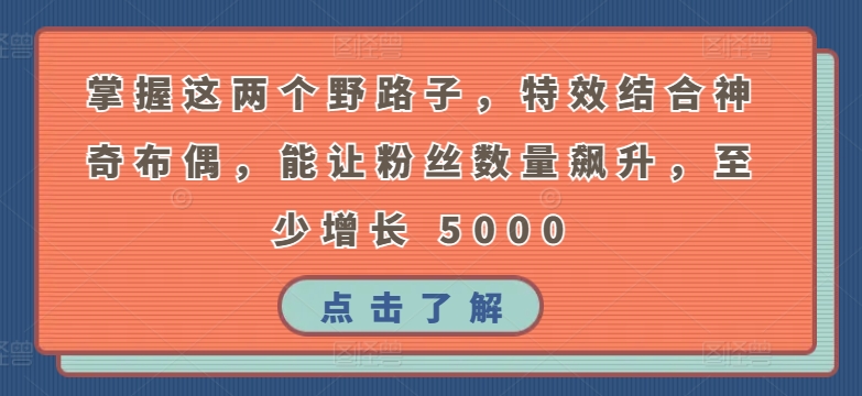 掌握这两个野路子，特效结合神奇布偶，能让粉丝数量飙升，至少增长 5000【揭秘】-鹤行社项目库
