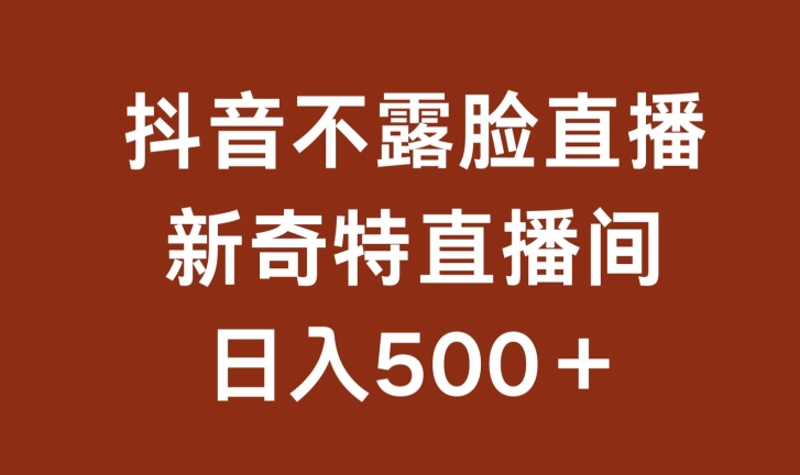 不露脸挂机直播，新奇特直播间，日入500+【揭秘】-鹤行社项目库