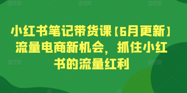 小红书笔记带货课【6月更新】流量电商新机会，抓住小红书的流量红利-鹤行社项目库