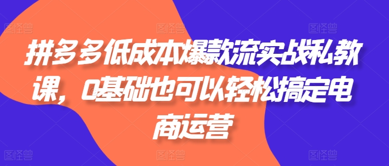 拼多多低成本爆款流实战私教课，0基础也可以轻松搞定电商运营-鹤行社项目库